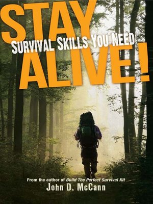cover image of Stay Alive!